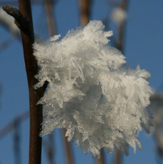 Winterimpressionen 041.jpg